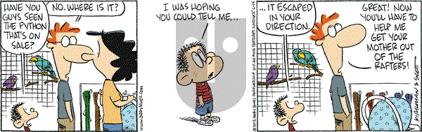 Baby Blues on Friday June 14, 2013 Comic Strip