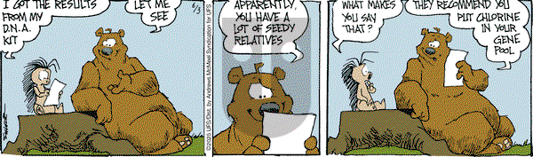 The Grizzwells on Tuesday June 3, 2025 Comic Strip