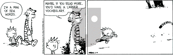 Calvin and Hobbes - Saturday June 10, 1995 Comic Strip