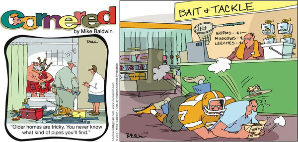 Cornered on Sunday July 9, 2017 Comic Strip