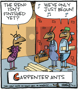 Reality Check - Thursday September 26, 2024 Comic Strip