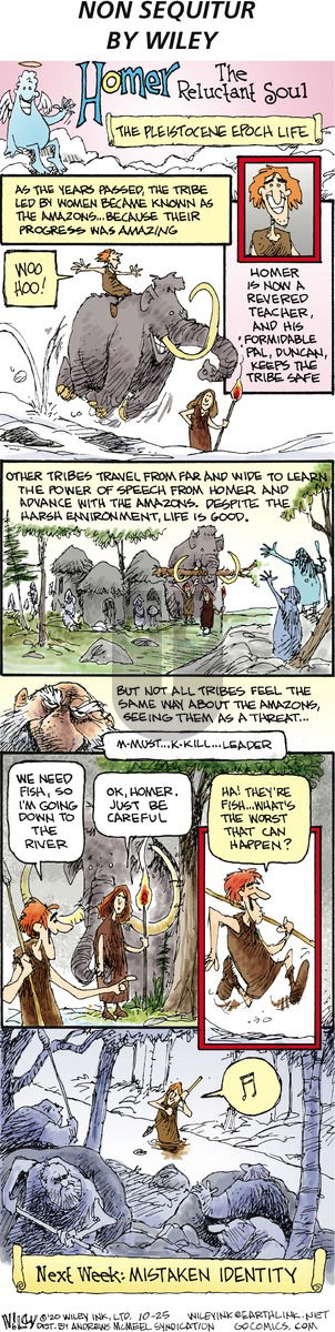 Non Sequitur - Sunday October 25, 2020 Comic Strip