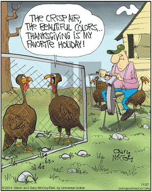 The Flying McCoys on Thursday November 27, 2014 Comic Strip