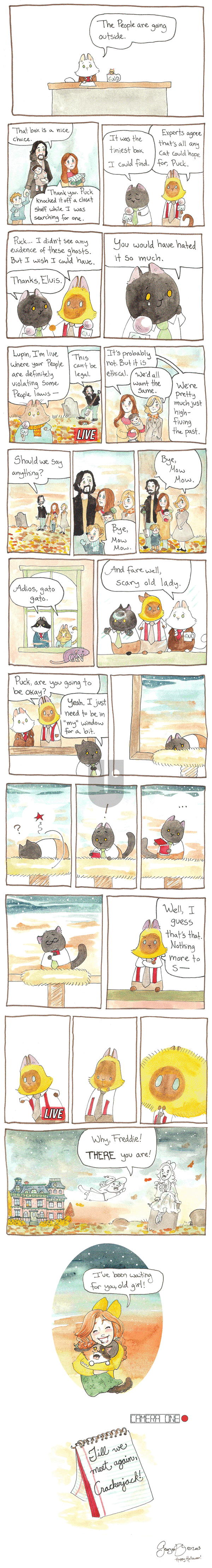 Breaking Cat News on Thursday January 26, 2017 Comic Strip