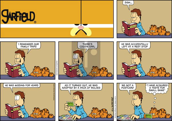 Garfield on Sunday July 21, 2013 Comic Strip