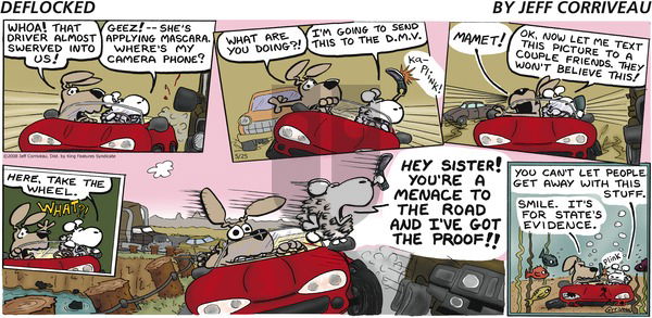 DeFlocked on Sunday May 25, 2008 Comic Strip