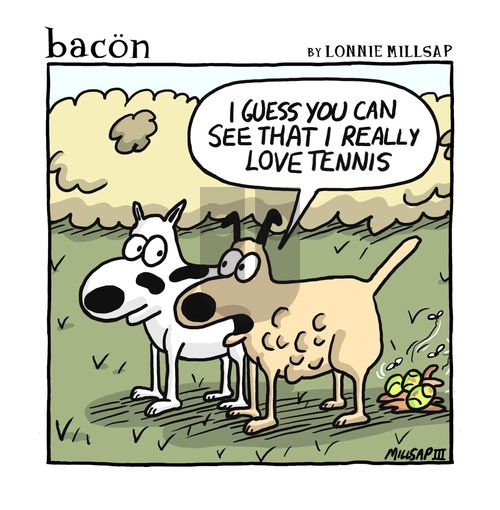 bacon on Friday November 22, 2024 Comic Strip