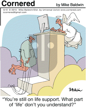 Cornered on Friday June 12, 2015 Comic Strip