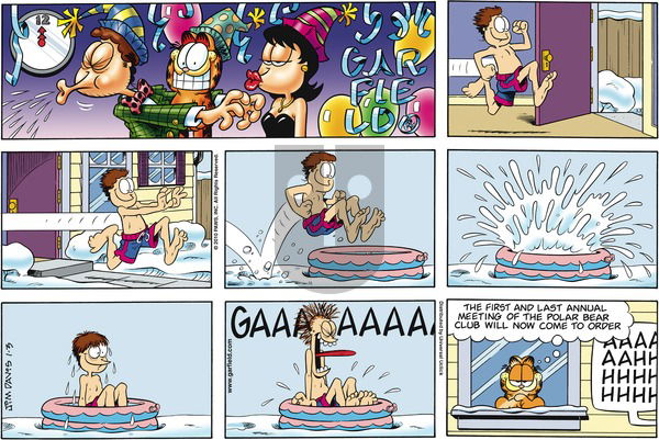 Garfield on Sunday January 3, 2010 Comic Strip