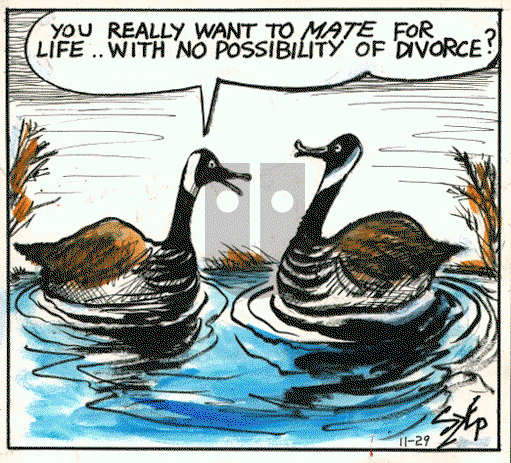 Today's Szep on Monday March 6, 2023 Comic Strip