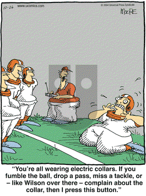 In the Bleachers on Saturday November 27, 2004 Comic Strip
