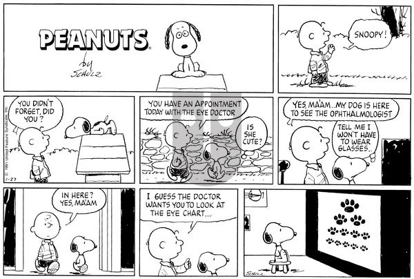 Peanuts on Sunday January 27, 1991 Comic Strip