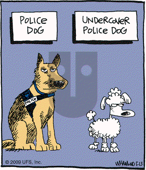 Reality Check on Wednesday May 13, 2009 Comic Strip