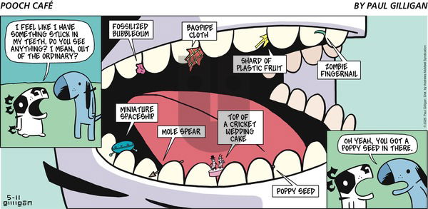 Pooch Cafe on Sunday May 11, 2025 Comic Strip