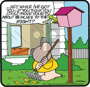 Ziggy on Friday September 1, 2017 Comic Strip