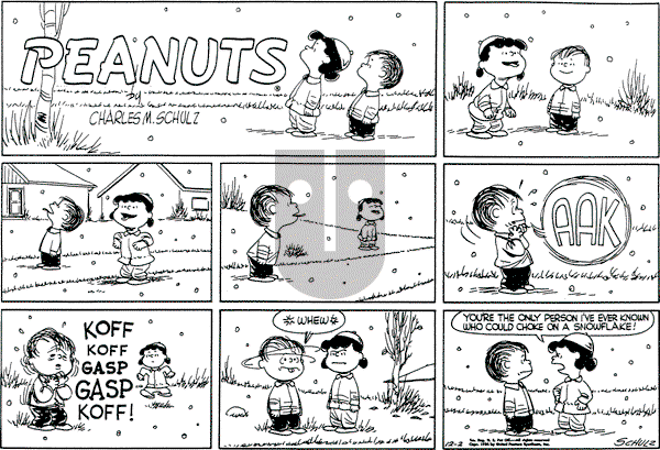 Peanuts - Sunday December 2, 1956 Comic Strip