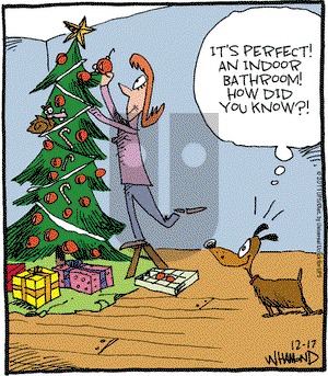 Reality Check on Saturday December 17, 2011 Comic Strip