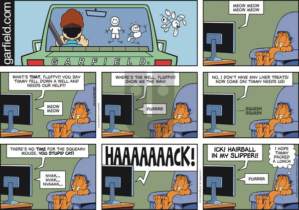 Garfield on Sunday June 23, 2019 Comic Strip