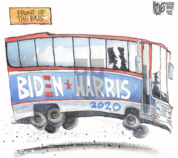 Matt Davies on Thursday August 13, 2020 Comic Strip
