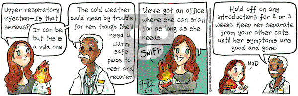 Breaking Cat News on Tuesday December 3, 2019 Comic Strip
