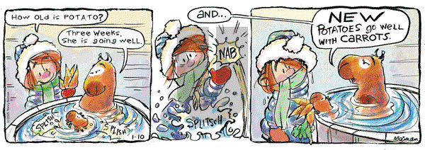 FurBabies - Friday January 10, 2025 Comic Strip