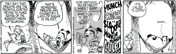 Over the Hedge on Thursday January 24, 2002 Comic Strip