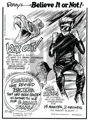 Ripley's Believe It or Not on Monday October 15, 2007 Comic Strip