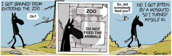 Dark Side of the Horse - Tuesday December 4, 2012 Comic Strip