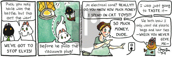 Breaking Cat News on Wednesday May 9, 2018 Comic Strip