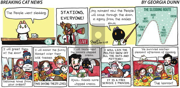 Breaking Cat News on Sunday December 27, 2020 Comic Strip