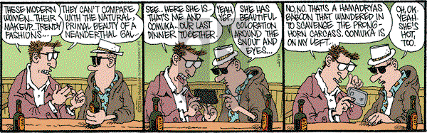 Monty on Saturday March 9, 2013 Comic Strip