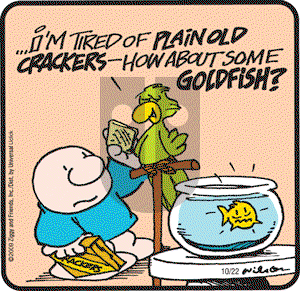 Ziggy - Thursday October 22, 2009 Comic Strip