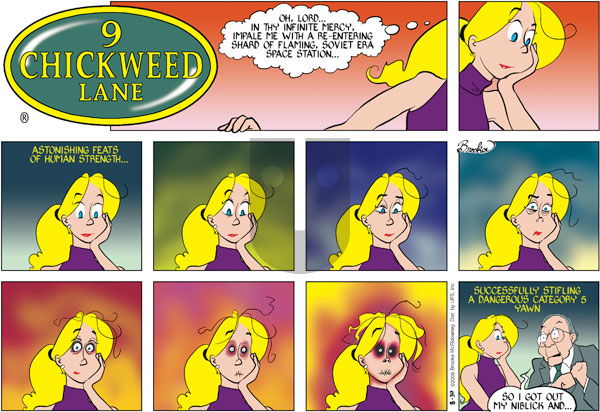 9 Chickweed Lane on Sunday August 30, 2009 Comic Strip