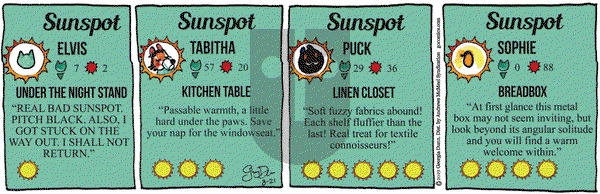 Breaking Cat News on Wednesday August 21, 2019 Comic Strip