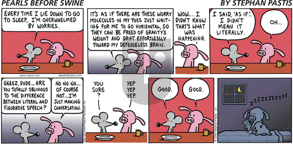 Pearls Before Swine - Sunday February 1, 2004 Comic Strip