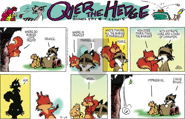 Over the Hedge on Sunday May 17, 2015 Comic Strip