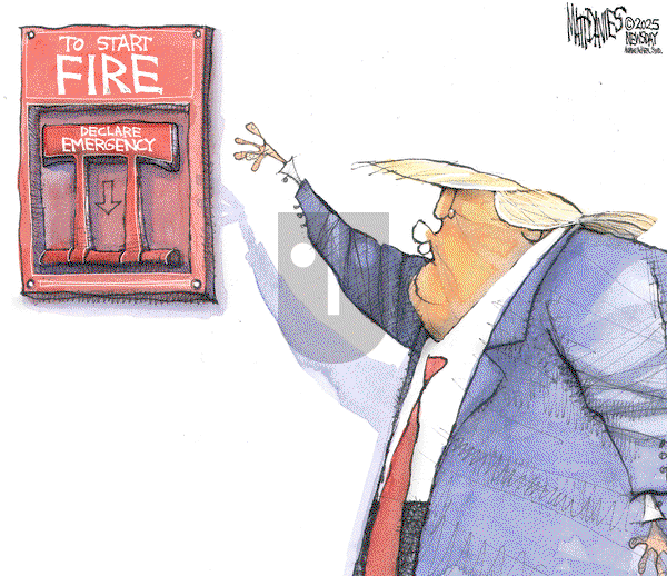 Matt Davies on Wednesday June 11, 2025 Comic Strip