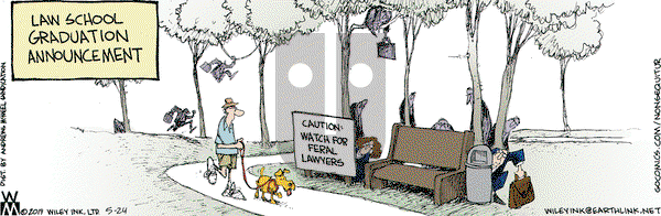 Non Sequitur on Friday May 24, 2019 Comic Strip