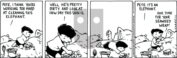 Big Top on Tuesday June 18, 2002 Comic Strip