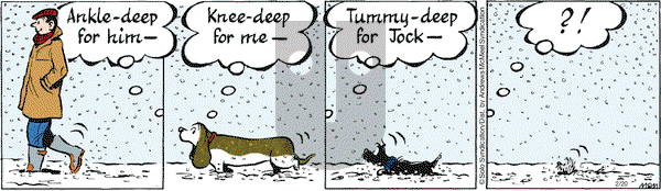 Fred Basset on Saturday February 20, 2021 Comic Strip