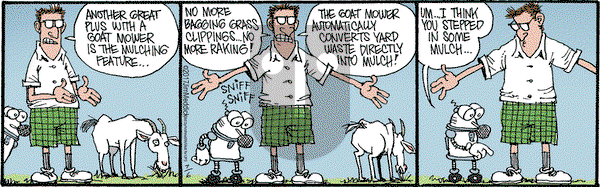 Monty on Thursday July 6, 2017 Comic Strip
