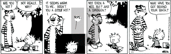 Calvin and Hobbes - Friday July 1, 1988 Comic Strip