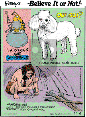 Ripley's Believe It or Not on Wednesday November 4, 2020 Comic Strip