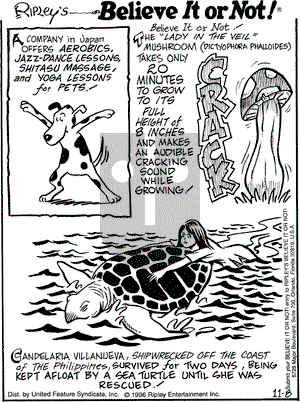 Ripley's Believe It or Not on Friday November 8, 1996 Comic Strip