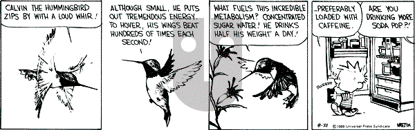 Calvin and Hobbes - Monday August 21, 1989 Comic Strip