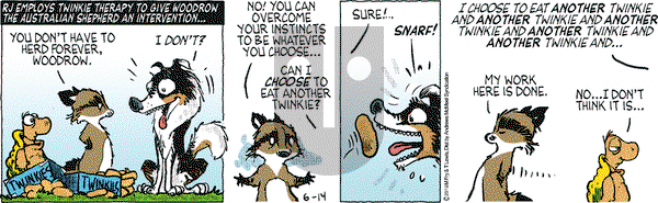 Over the Hedge on Friday June 14, 2019 Comic Strip