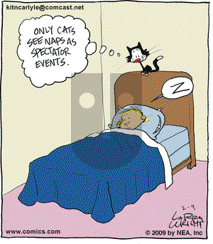 Kit 'N' Carlyle on Monday February 9, 2009 Comic Strip