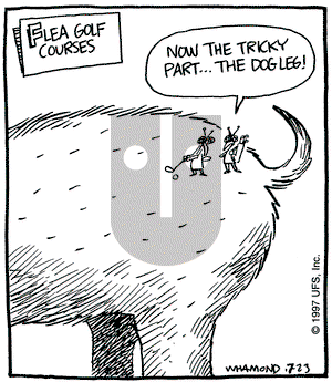 Reality Check - Wednesday July 23, 1997 Comic Strip