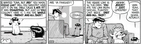 Get Fuzzy on Friday January 28, 2000 Comic Strip