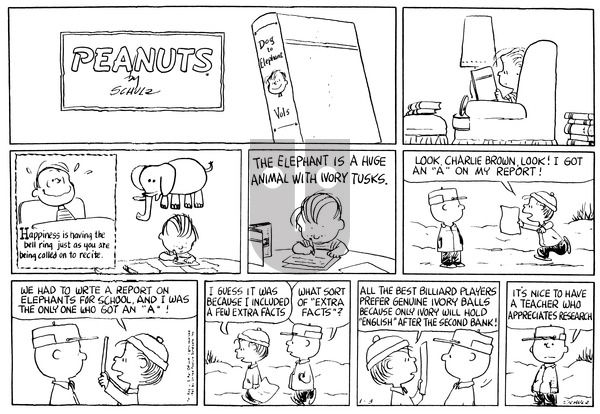 Peanuts on Sunday January 3, 1965 Comic Strip